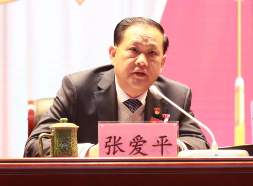 张爱平同志宣读中共半岛·体育(中国)官方网站-登陆入口第一届党委成员分工及纪委成员分工